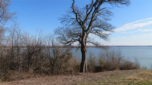 a view of a backyard of the house