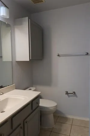 a bathroom with a sink a toilet and mirror