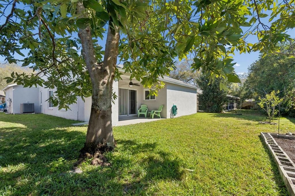 1489 Ridge Shore Drive Tarpon Springs, FL 34689 - Photo 22 of 29