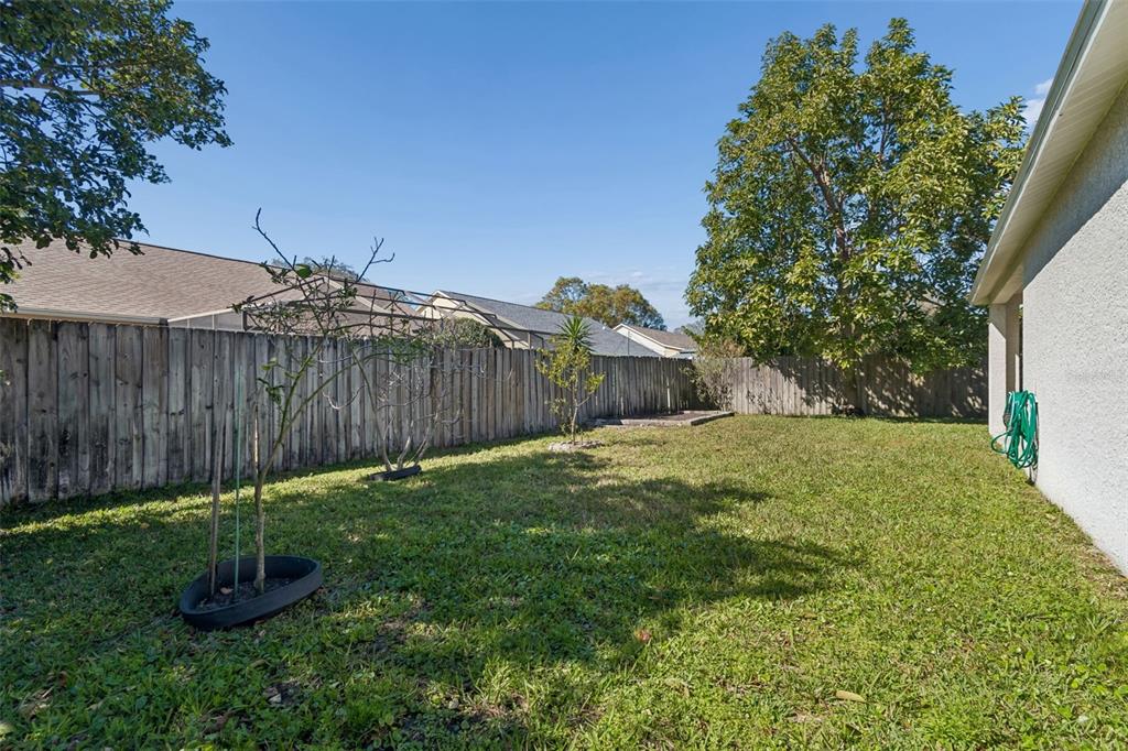 1489 Ridge Shore Drive Tarpon Springs, FL 34689 - Photo 23 of 29
