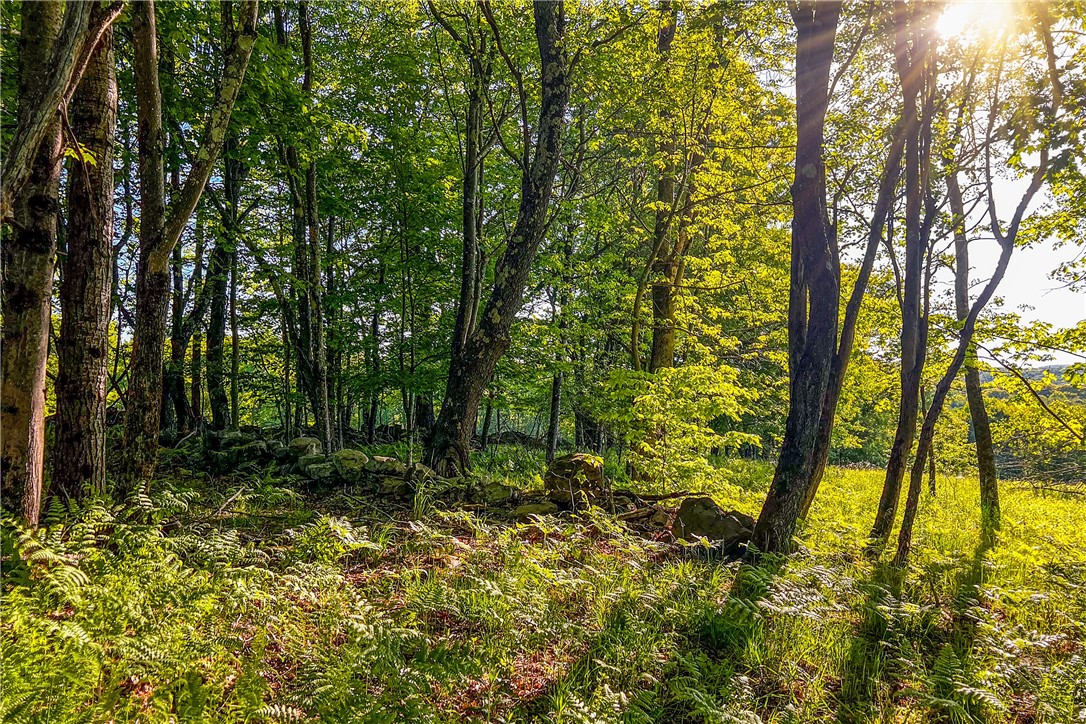 19-22 25 Frank Slawson Road Oneonta, NY 13820 - Photo 26 of 30