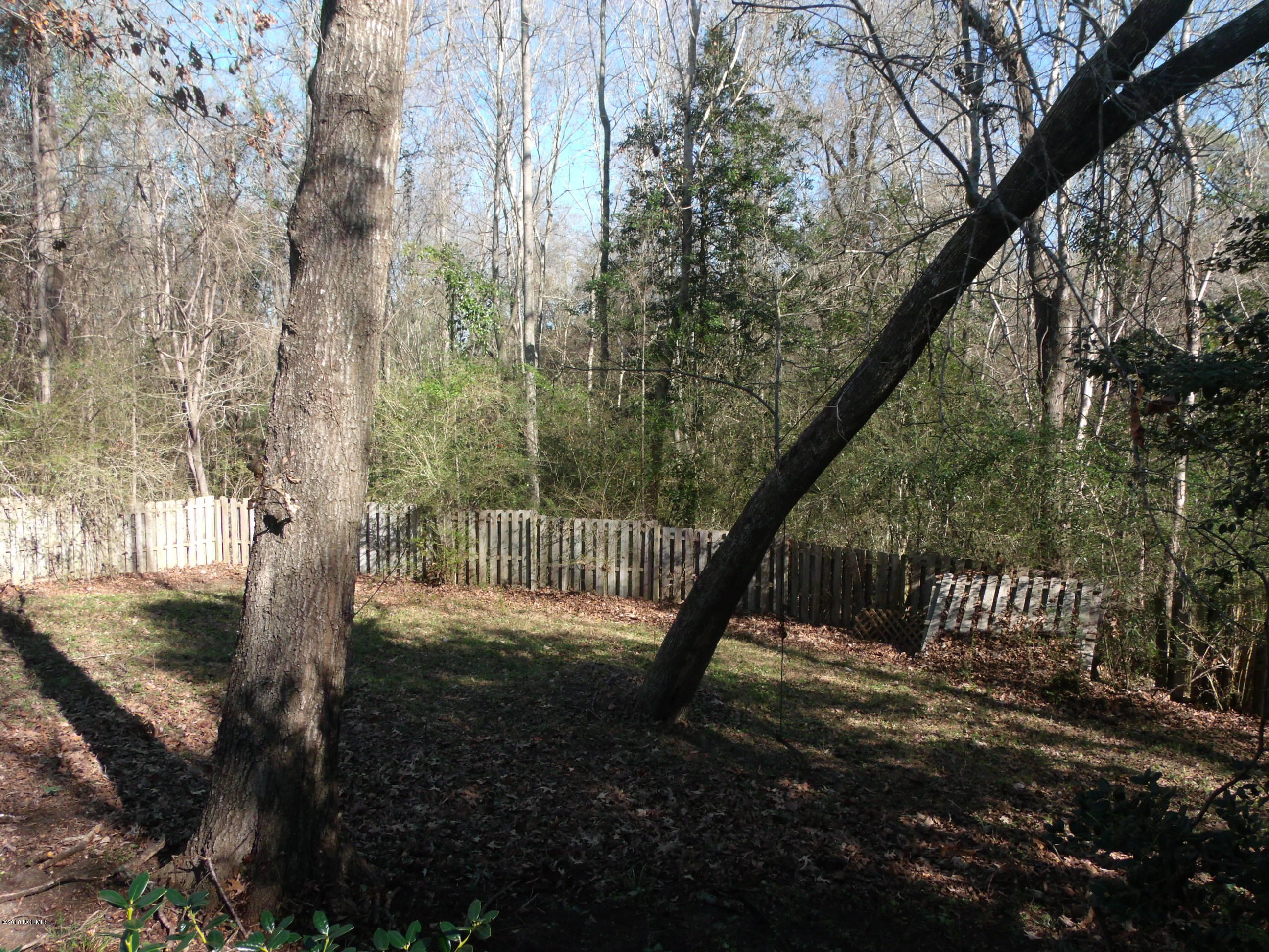 361 Double Eagle Road Burgaw, NC 28425 - Photo 16 of 17 GEDC8292