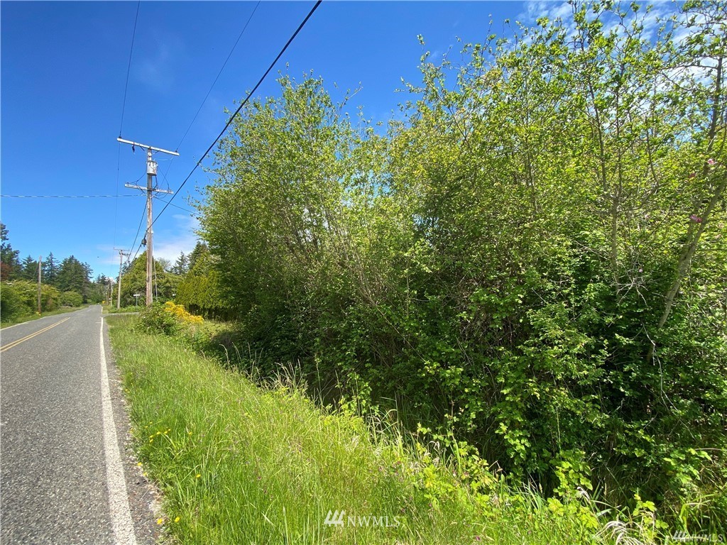 0 Teller Road Point Roberts, WA 98281 - Photo 2 of 4 Gallery Image 2