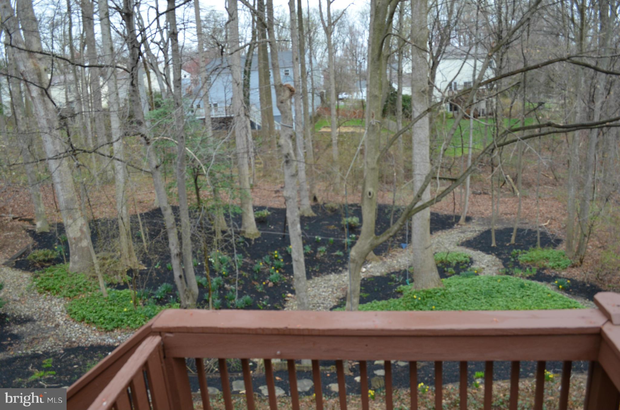 9502 Burning Branch Road Burke, VA 22015 - Photo 29 of 29 Exterior (Rear)