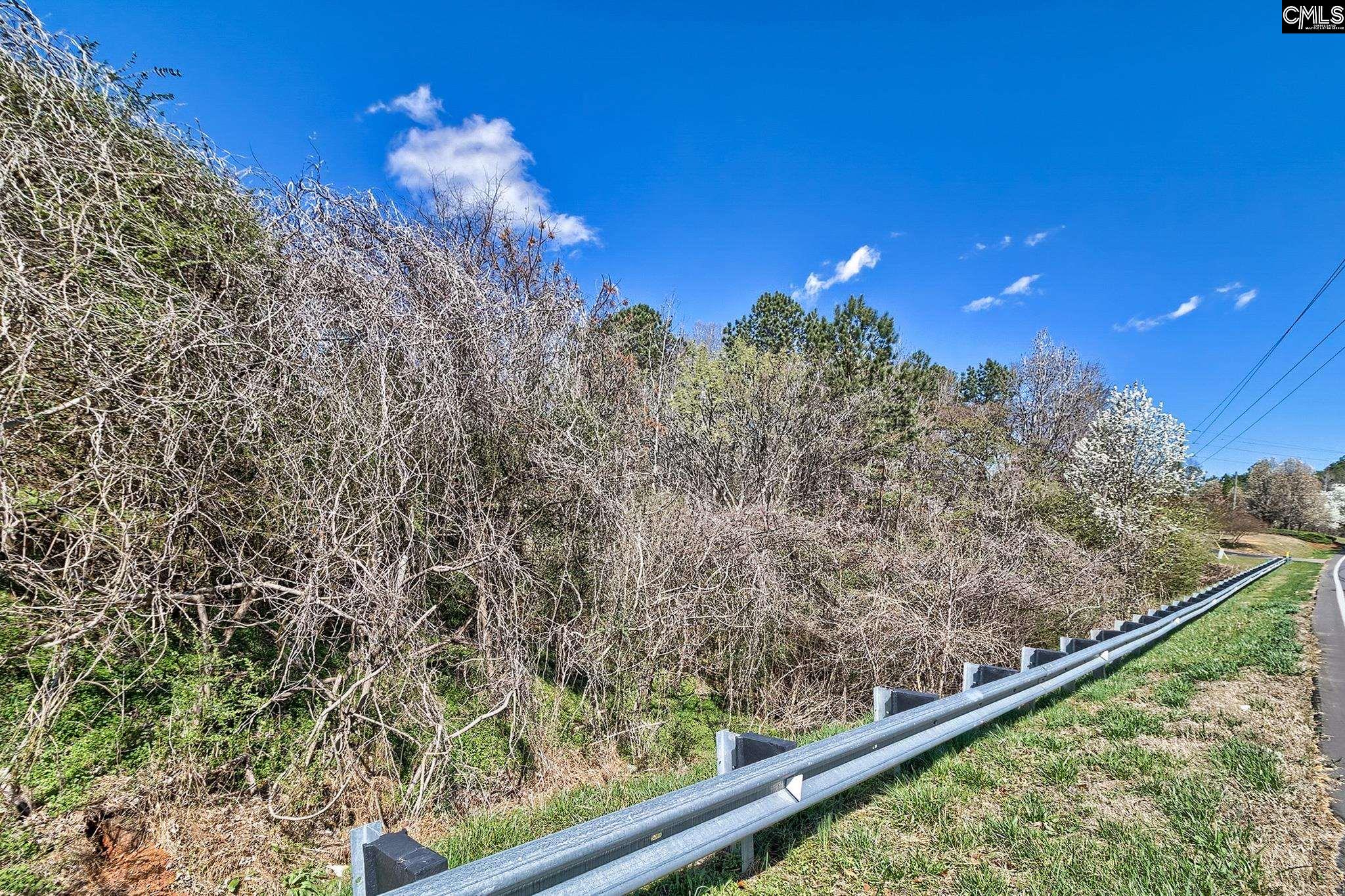 0 Smallstown Road Winnsboro, SC 29180 - Photo 10 of 27