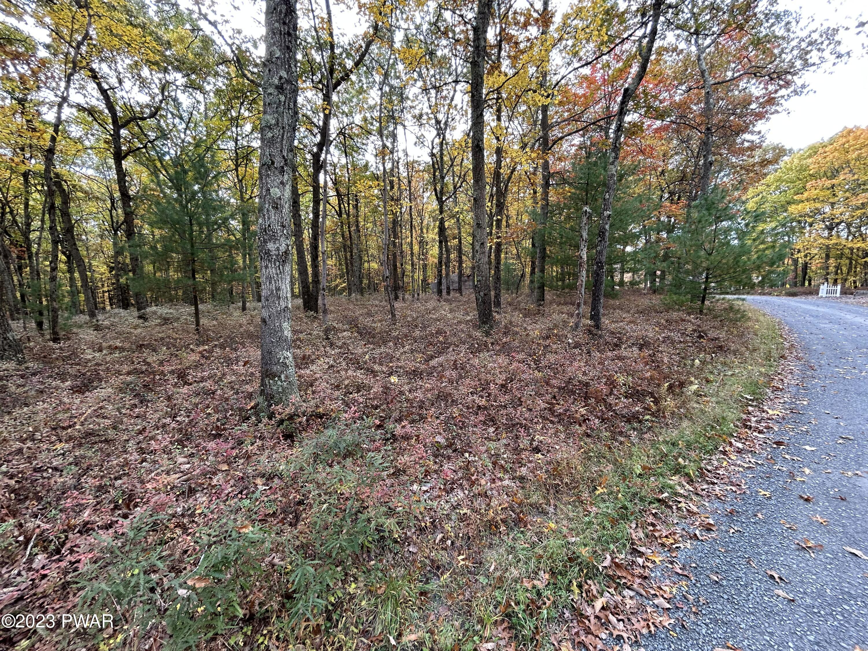 Lot 26 Timber Ridge Drive Hawley, PA 18428 - Photo 6 of 18