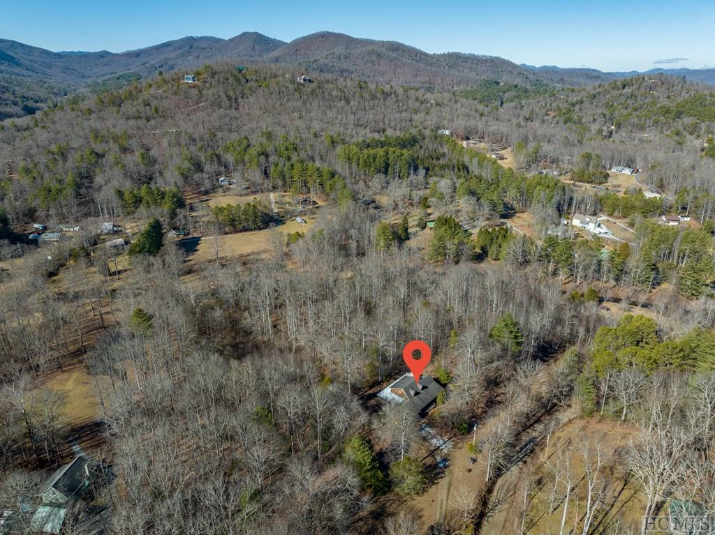 288 Ed Conley Road Otto, NC 28763 - Photo 9 of 50 Gallery Image 9