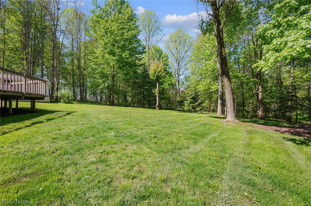 18976 Thorpe Road Chagrin Falls, OH 44023 - Photo 41 of 45