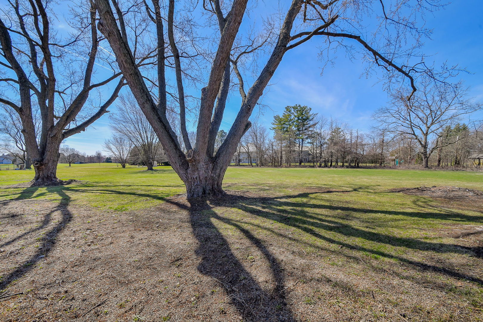 10S198 Illinois Rte 59 Naperville, IL 60564 - Photo 6 of 14