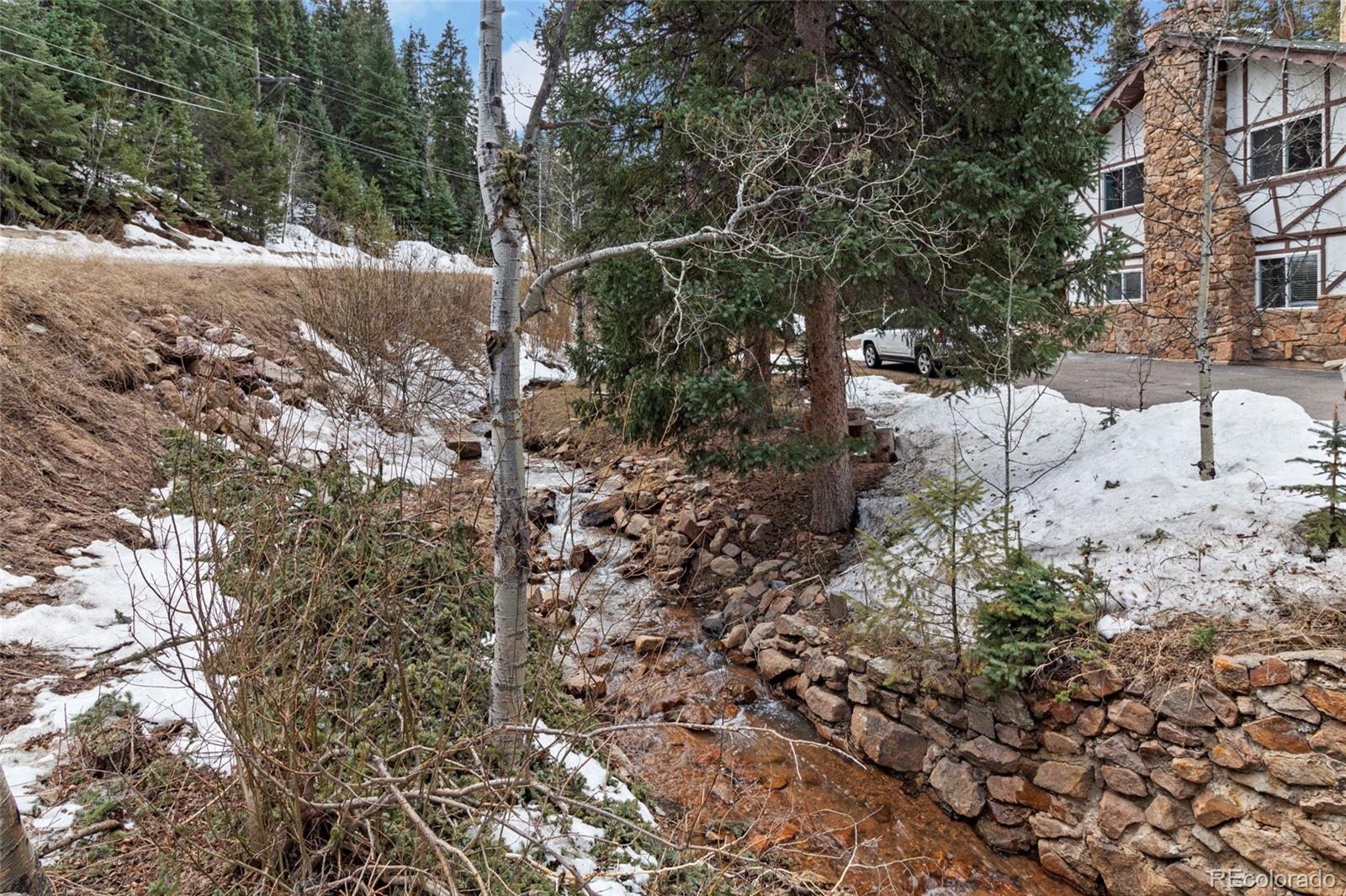 8117 South Brook Forest Road Evergreen, CO 80439 - Photo 4 of 30 Gallery Image 4