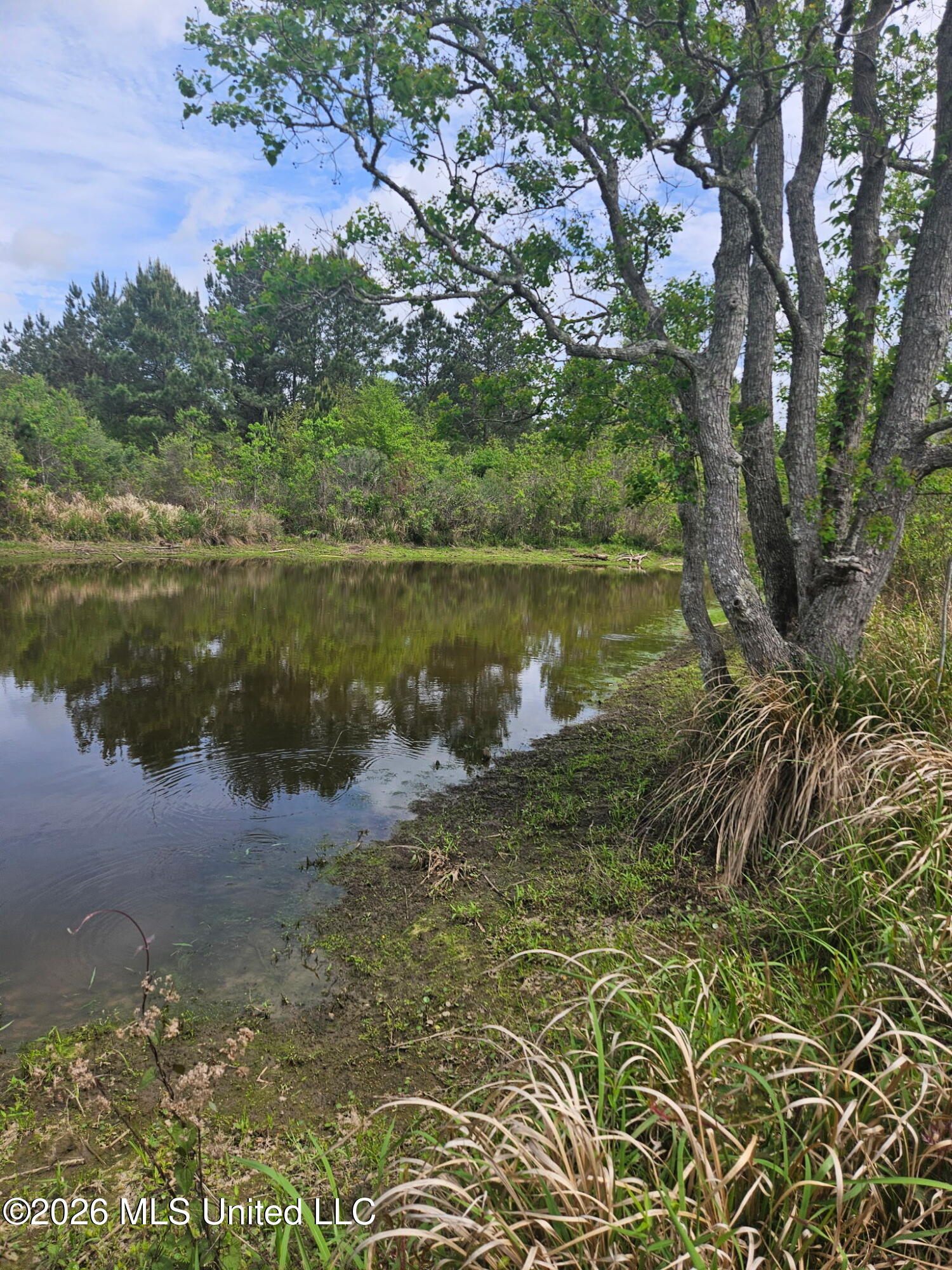 6201 Wesley Powell Road Lucedale, MS 39452 - Photo 2 of 21 IMG_20260407_145415