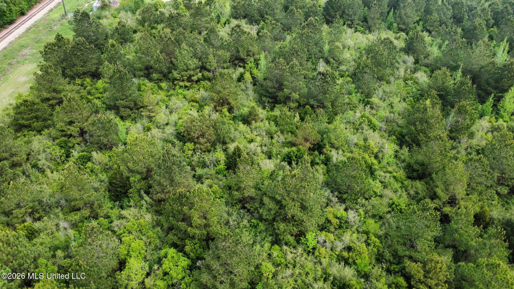 6201 Wesley Powell Road Lucedale, MS 39452 - Photo 21 of 21 IMG_20260407_145447