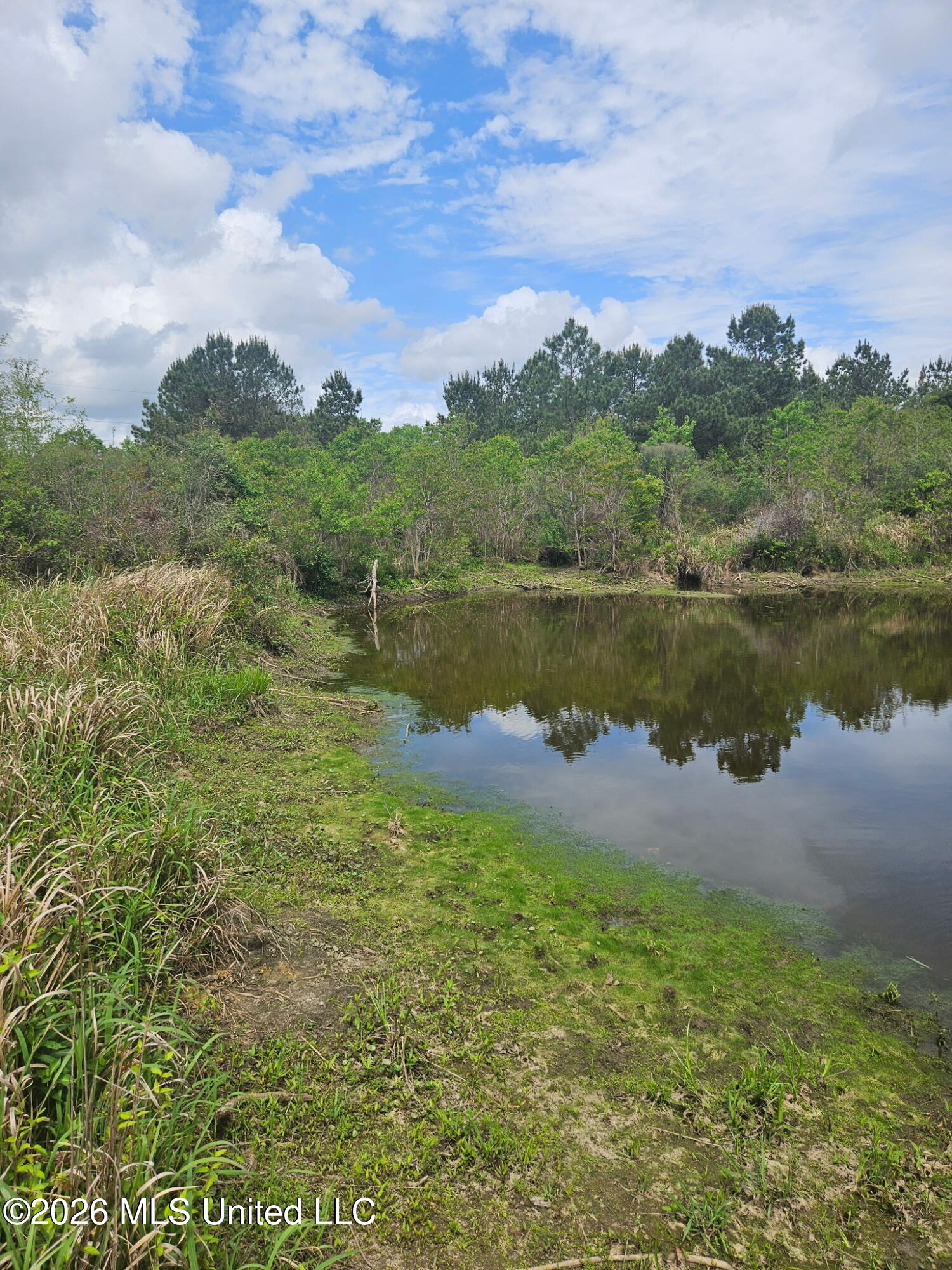 6201 Wesley Powell Road Lucedale, MS 39452 - Photo 3 of 21 IMG_20260407_145418