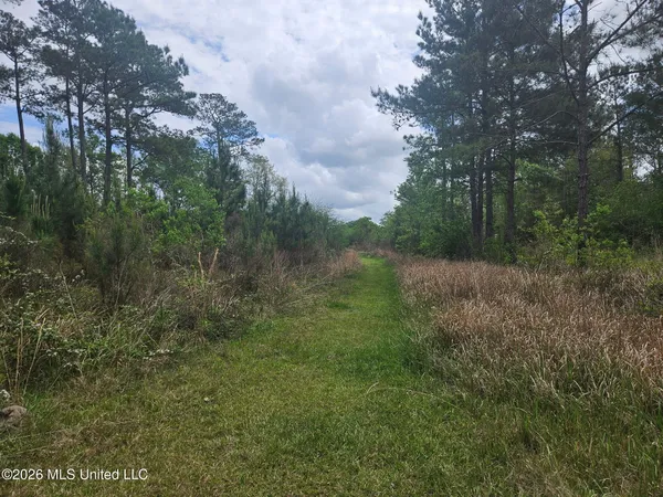 $110,000 | 6201 Wesley Powell Road, Lucedale, MS 39452