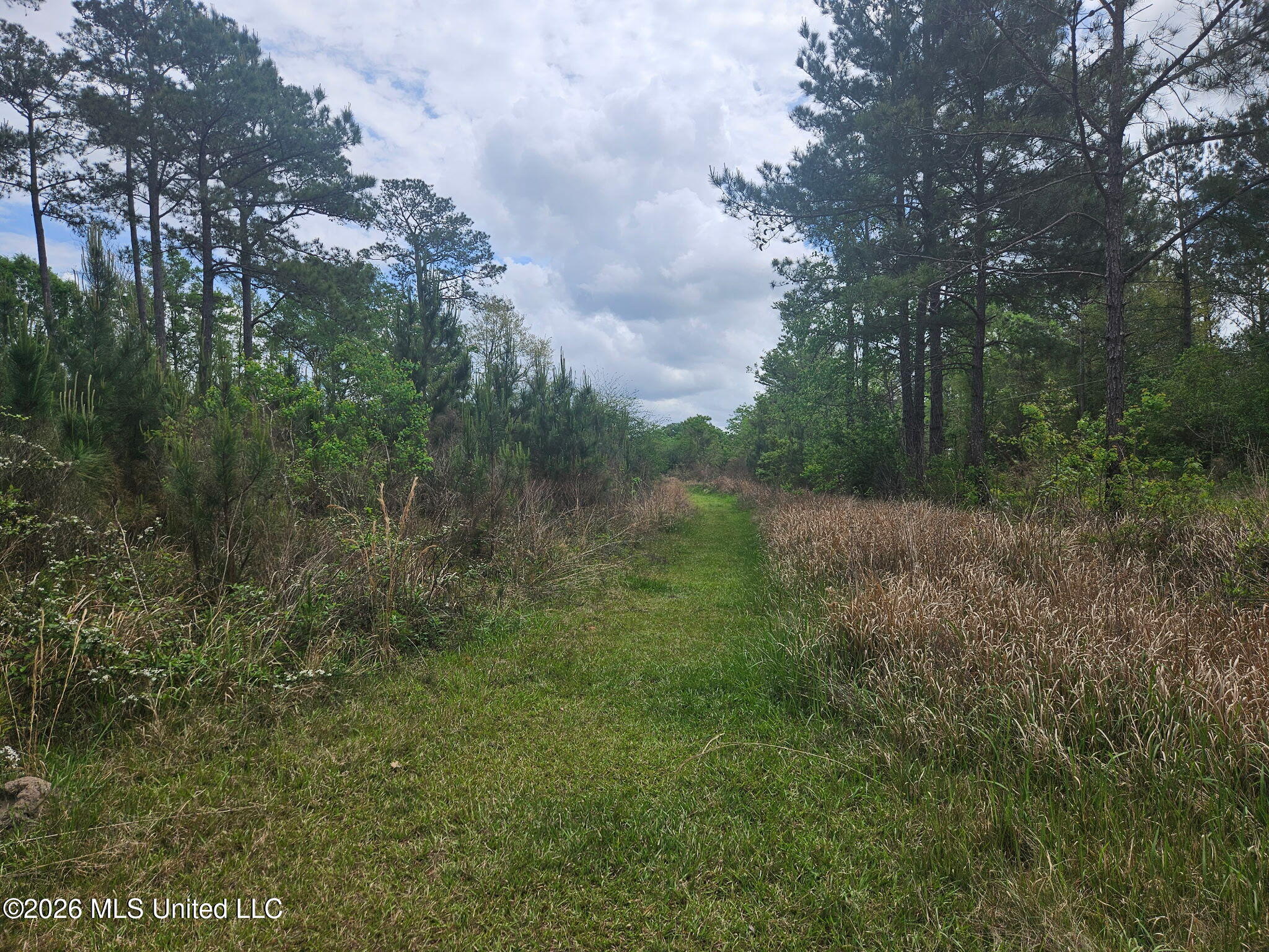 6201 Wesley Powell Road Lucedale, MS 39452 - Photo 4 of 21 IMG_20260407_145421