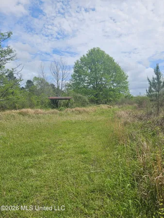 $110,000 | 6201 Wesley Powell Road, Lucedale, MS 39452