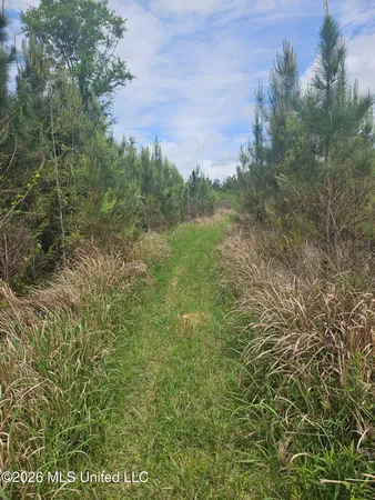 $110,000 | 6201 Wesley Powell Road, Lucedale, MS 39452