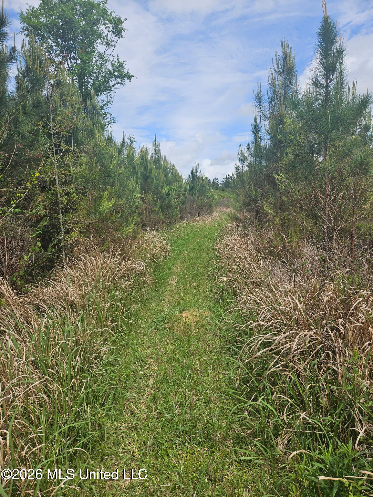 6201 Wesley Powell Road Lucedale, MS 39452 - Photo 7 of 21 IMG_20260407_145423
