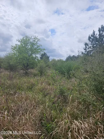 $110,000 | 6201 Wesley Powell Road, Lucedale, MS 39452
