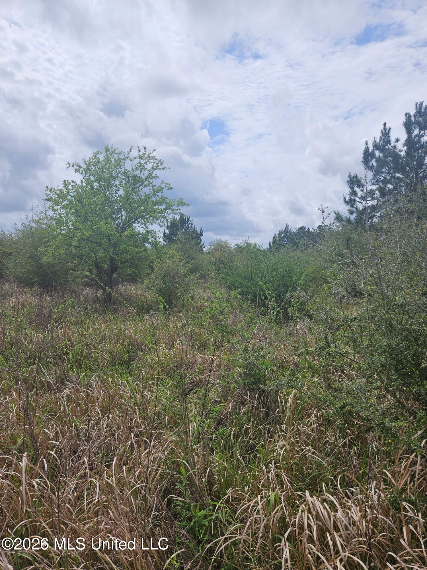 6201 Wesley Powell Road Lucedale, MS 39452 - Photo 8 of 21 IMG_20260407_145405