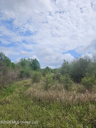 $110,000 | 6201 Wesley Powell Road, Lucedale, MS 39452