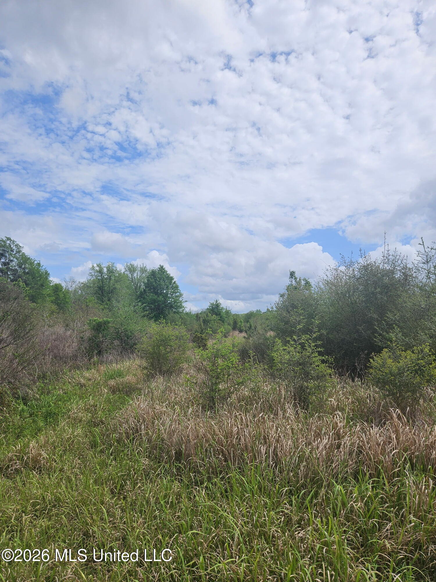 6201 Wesley Powell Road Lucedale, MS 39452 - Photo 9 of 21 IMG_20260407_145411