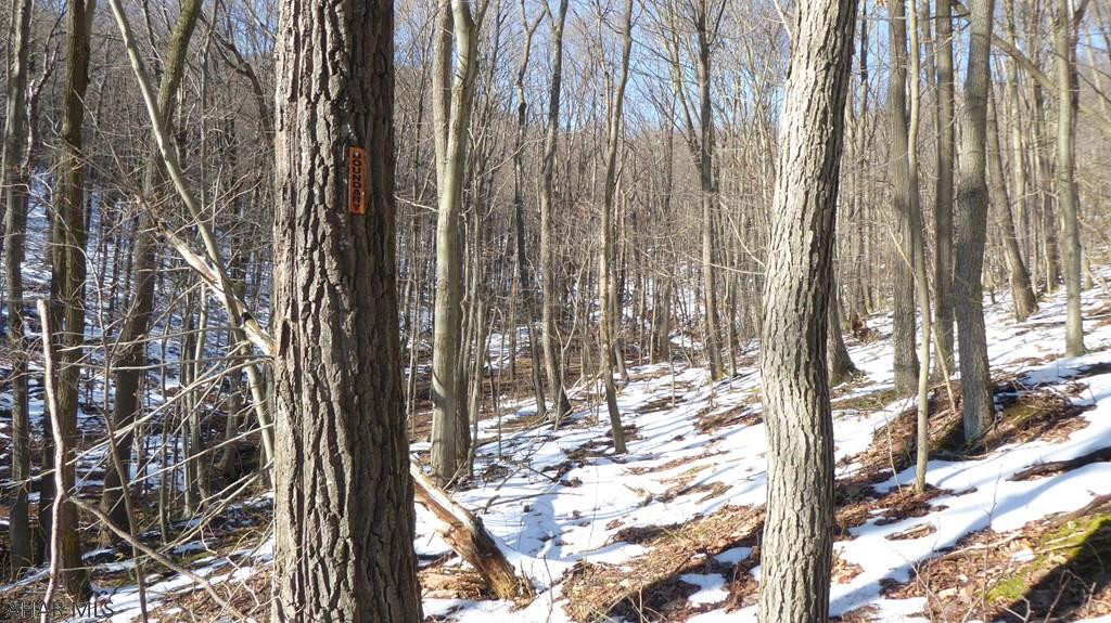 Off Leonard Road Alum Bank, PA 15521 - Photo 5 of 25 Gallery Image 5