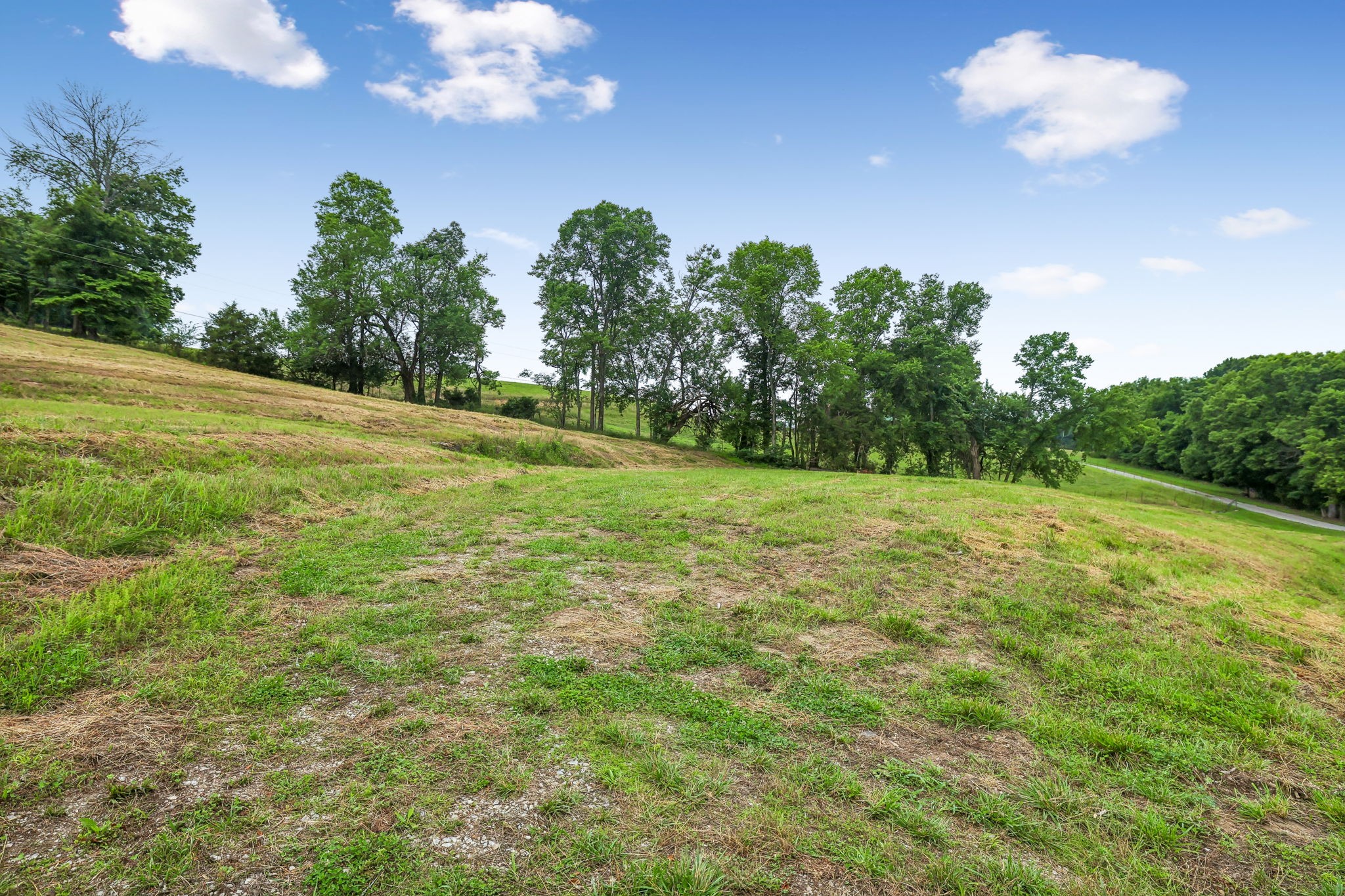 0 Hix Road Gordonsville, TN 38563 - Photo 8 of 37