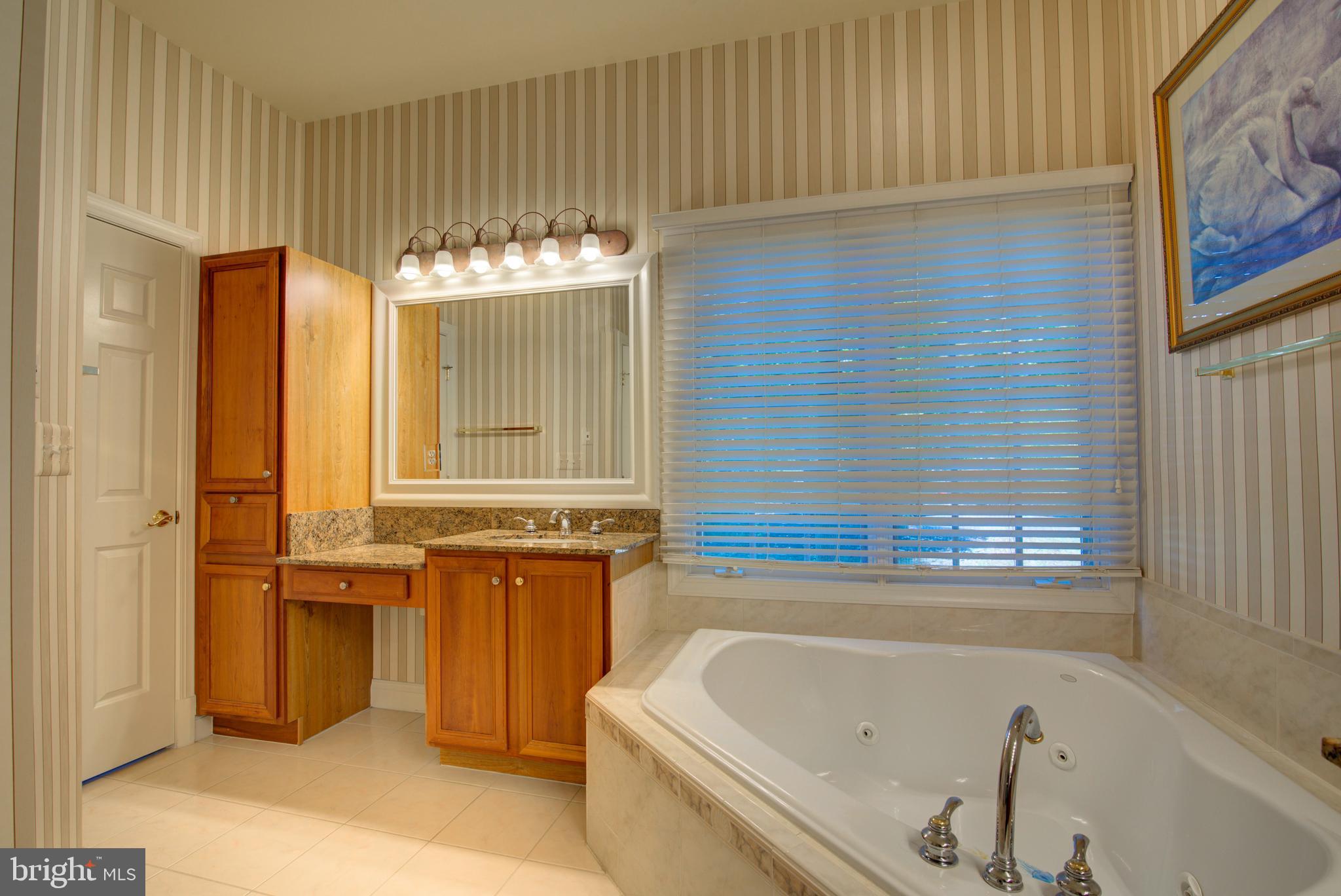 43462 Firestone Place Leesburg, VA 20176 - Photo 28 of 80 a bathroom with a bathtub and a shower
