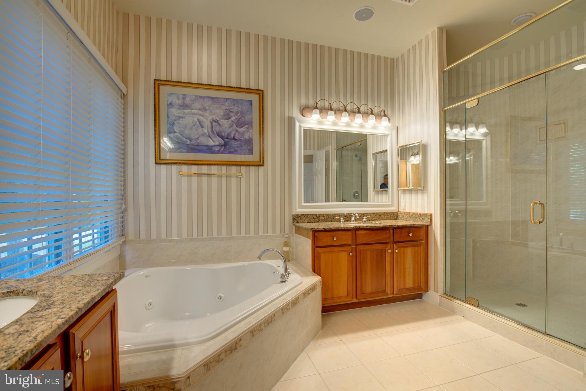 43462 Firestone Place Leesburg, VA 20176 - Photo 29 of 80 a bathroom with a granite countertop tub a sink and glass door