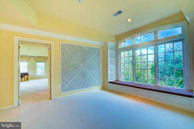 a view of a park with large trees