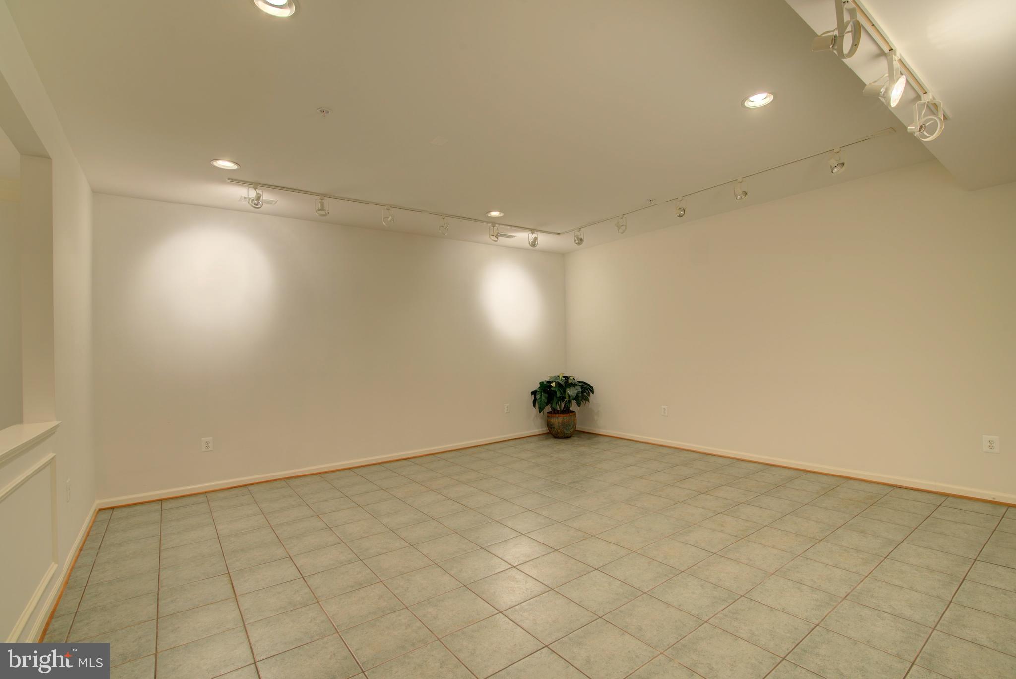 43462 Firestone Place Leesburg, VA 20176 - Photo 45 of 80 LOWER LEVEL STUDIO