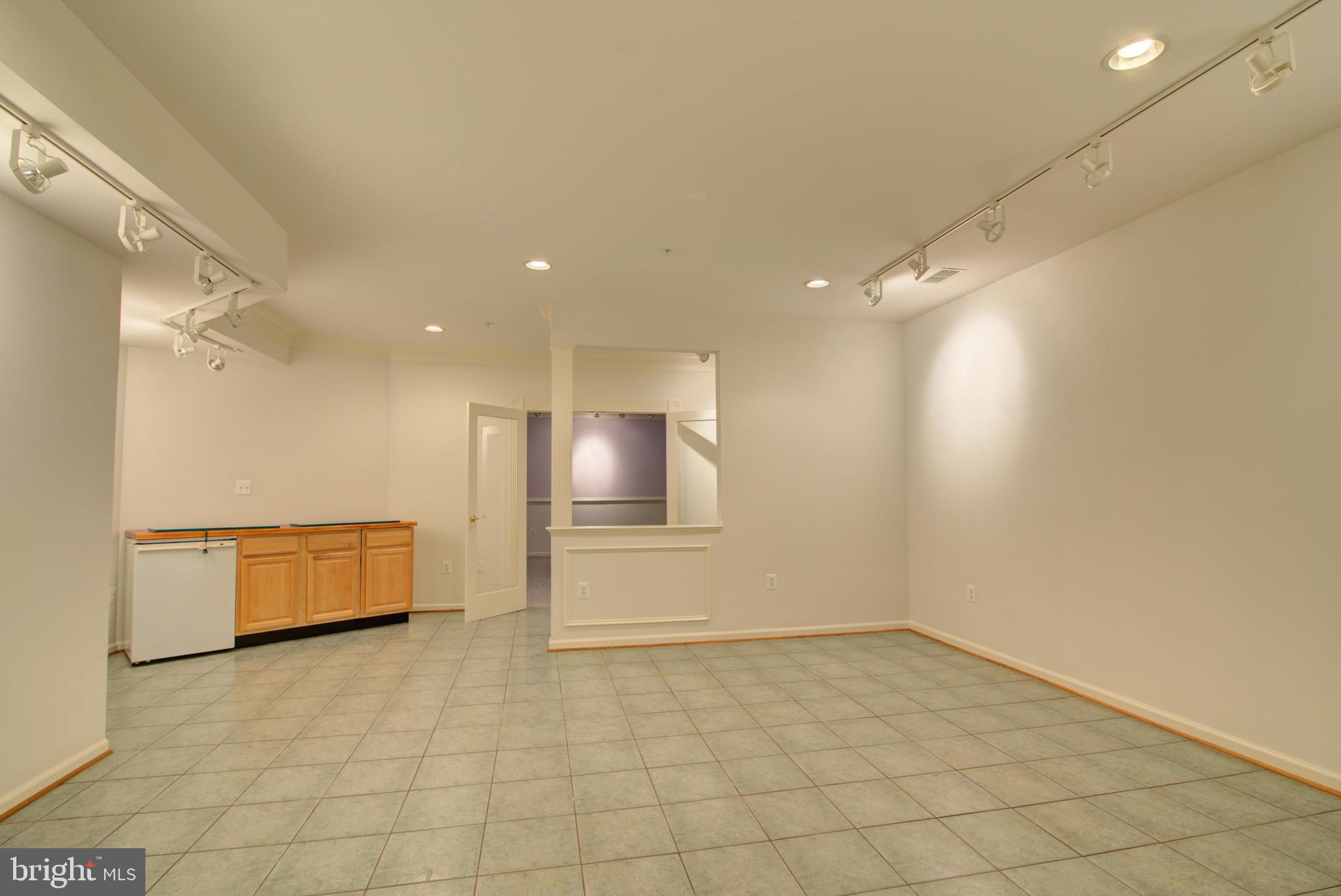 43462 Firestone Place Leesburg, VA 20176 - Photo 46 of 80 LOWER LEVEL STUDIO