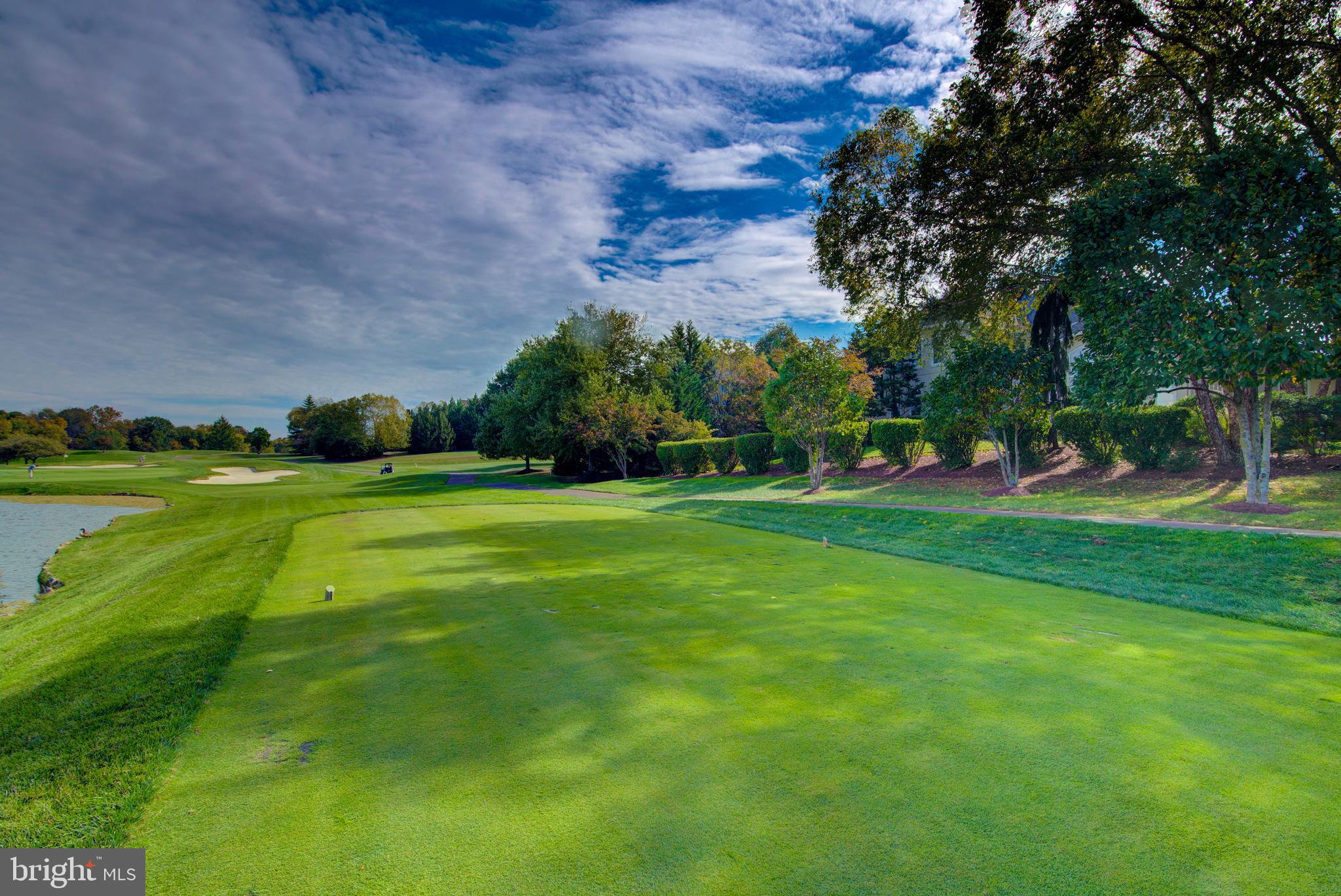 43462 Firestone Place Leesburg, VA 20176 - Photo 54 of 80 a view of a park with large trees