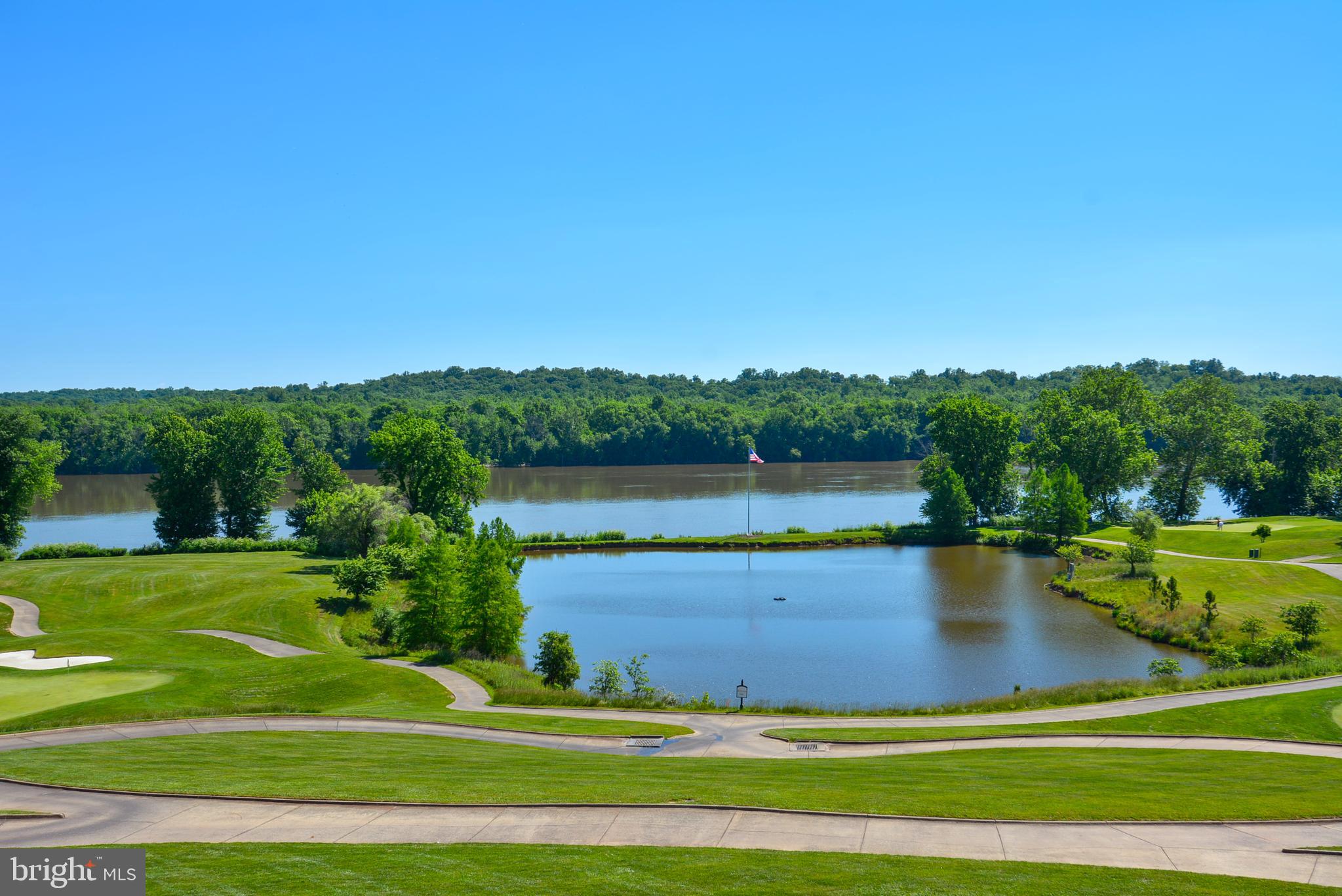 43462 Firestone Place Leesburg, VA 20176 - Photo 63 of 80 a view of a swimming pool with a yard and plants