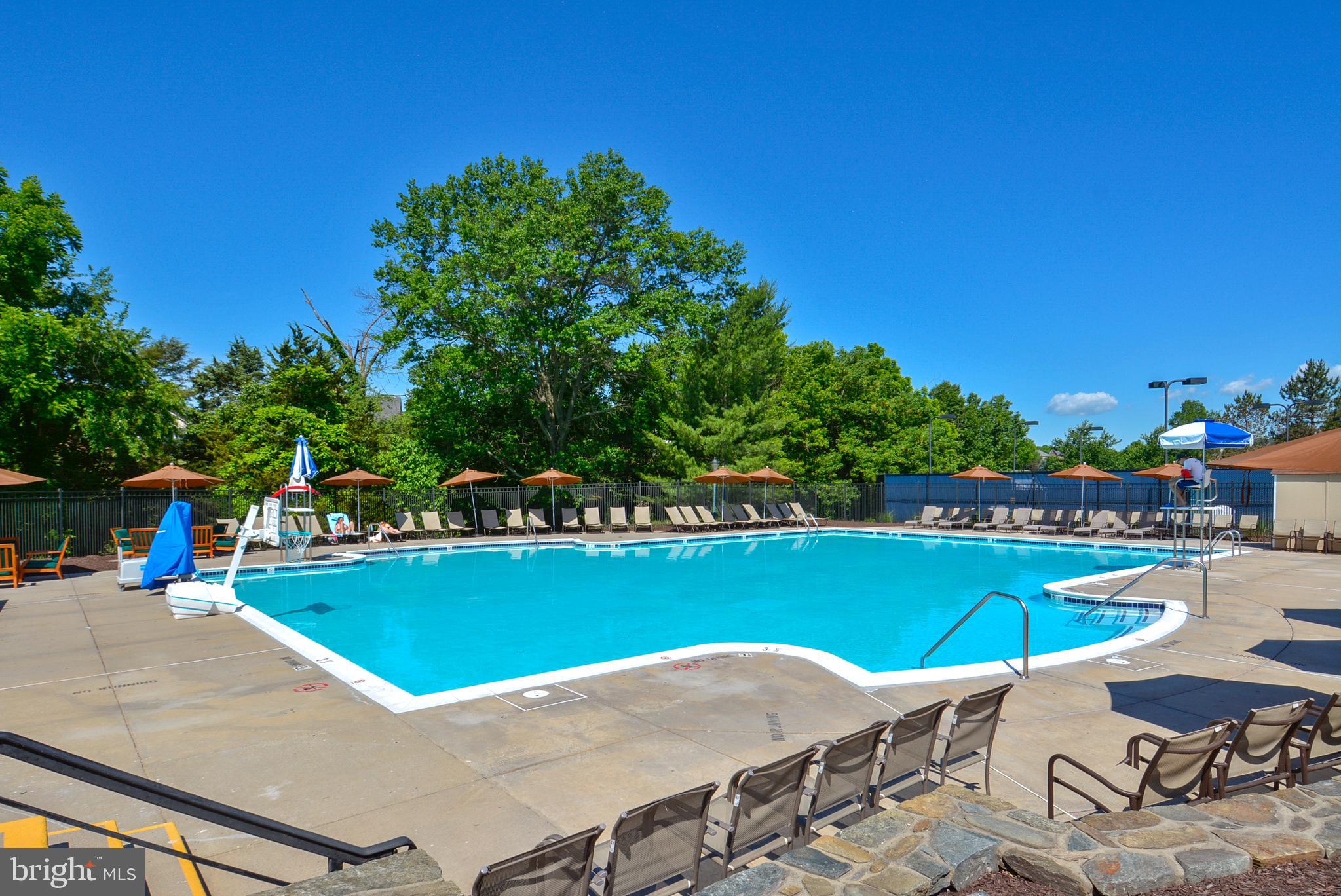 43462 Firestone Place Leesburg, VA 20176 - Photo 73 of 80 a view of a swimming pool with lawn chairs under an umbrella