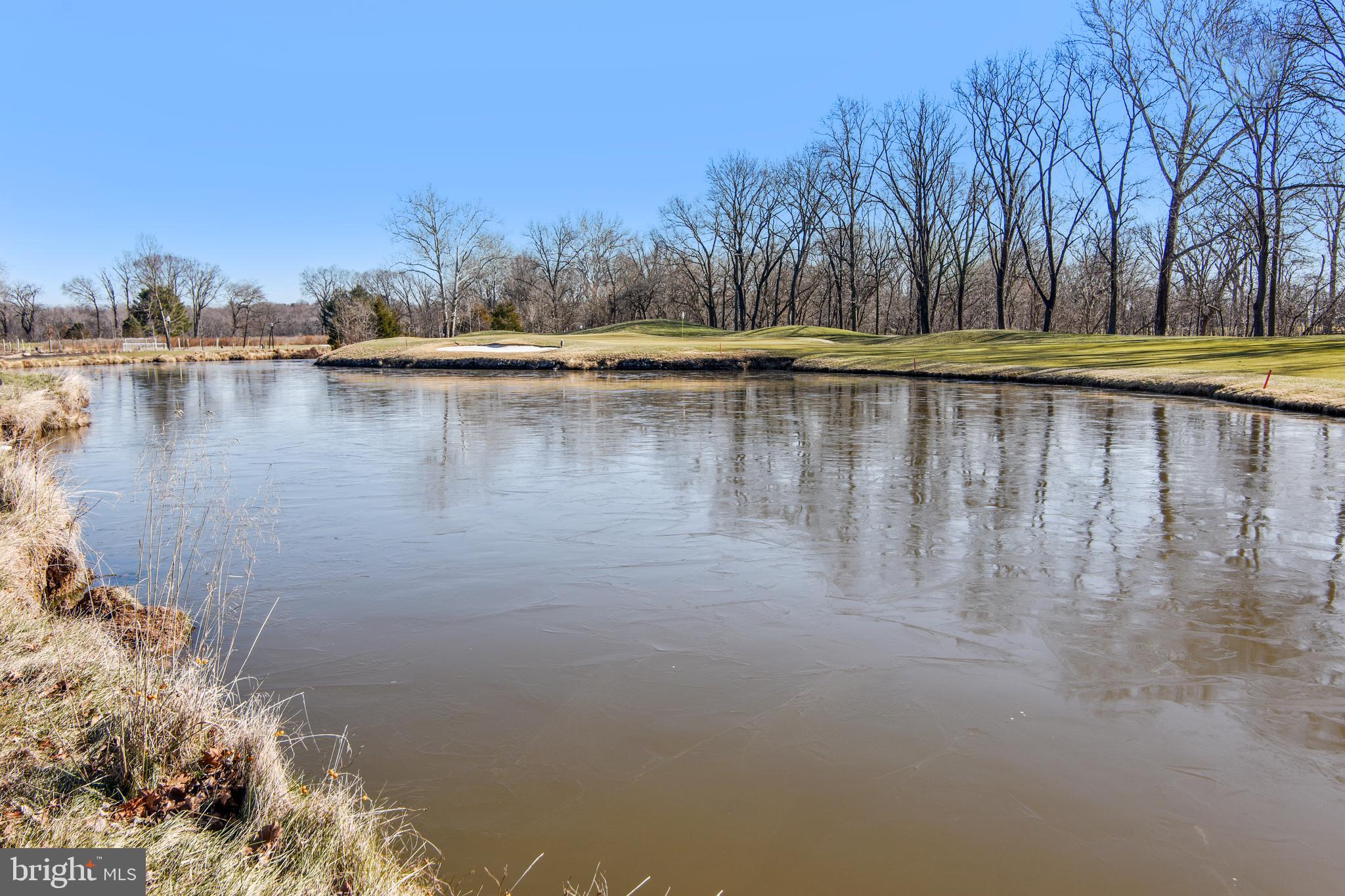 43462 Firestone Place Leesburg, VA 20176 - Photo 77 of 80 RCC VIEW OF GOOSE CREEK