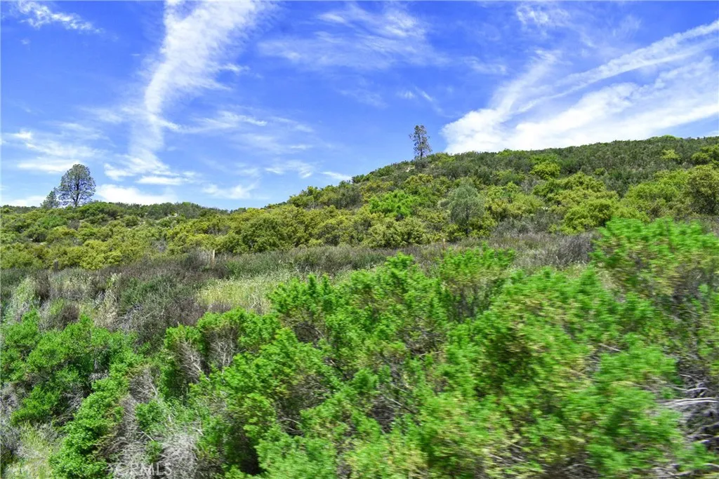 0 Lockwood San Ardo Road King City, CA 93930 - Photo 4 of 15 a view of a big yard with lots of green space