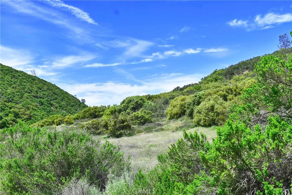 0 Lockwood San Ardo Road King City, CA 93930 - Photo 6 of 15 a view of a green field