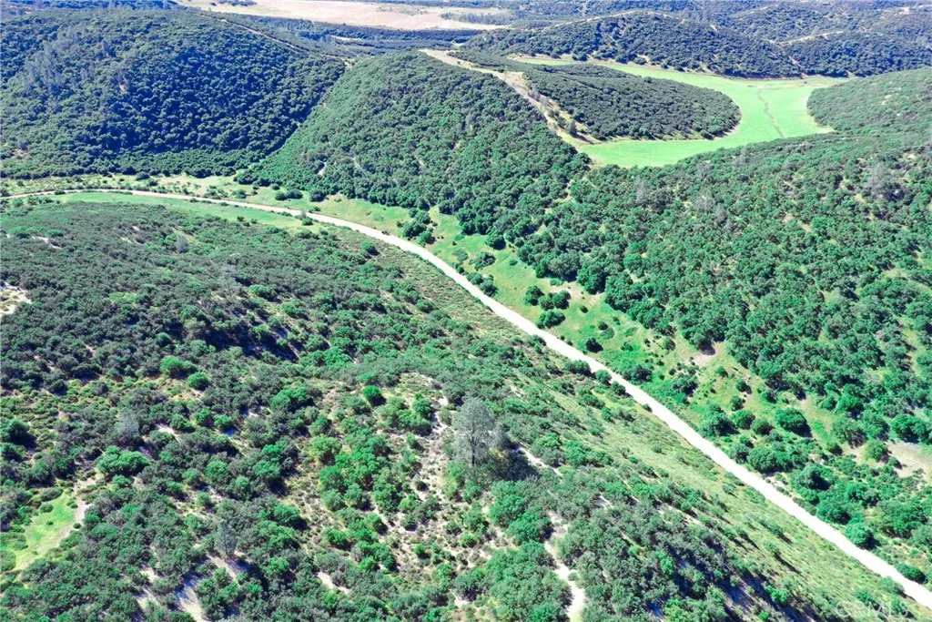 0 Lockwood San Ardo Road King City, CA 93930 - Photo 7 of 15 a view of a garden with a tree