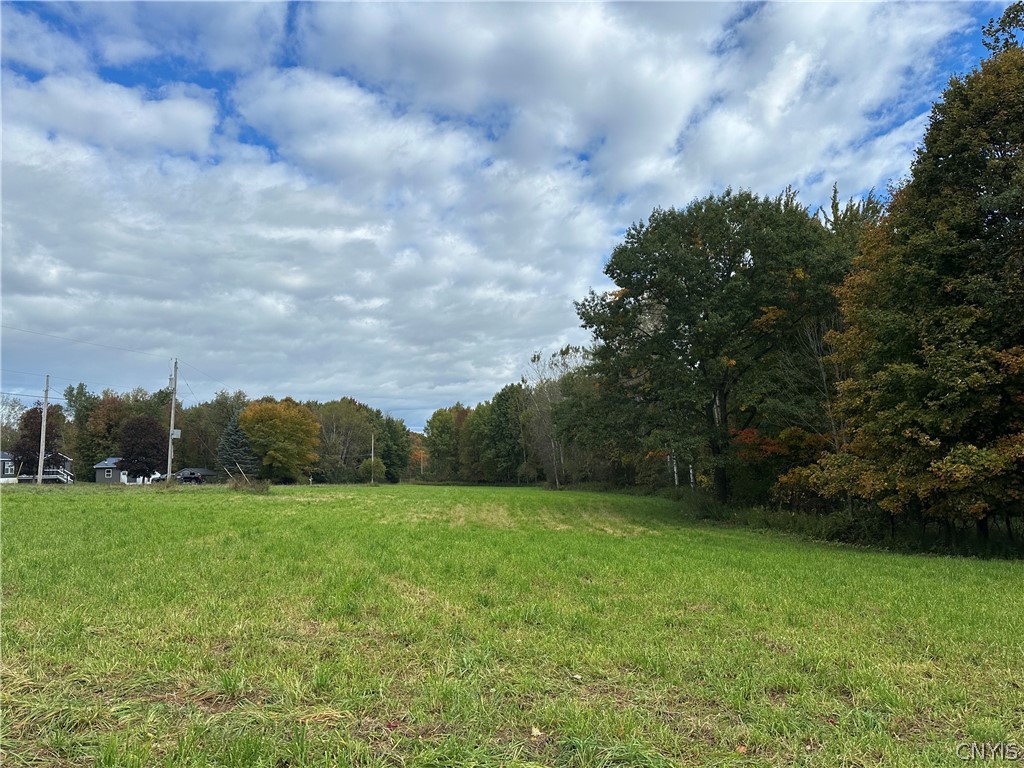 Mature trees frame a grassy clearing under an expansive sky.