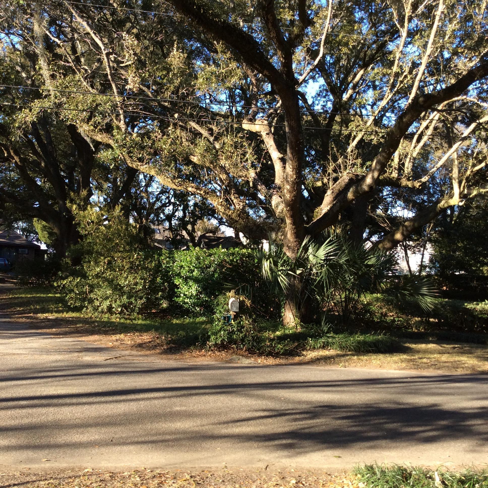 2085 Wappoo Hall Road Charleston, SC 29412 - Photo 20 of 36 image