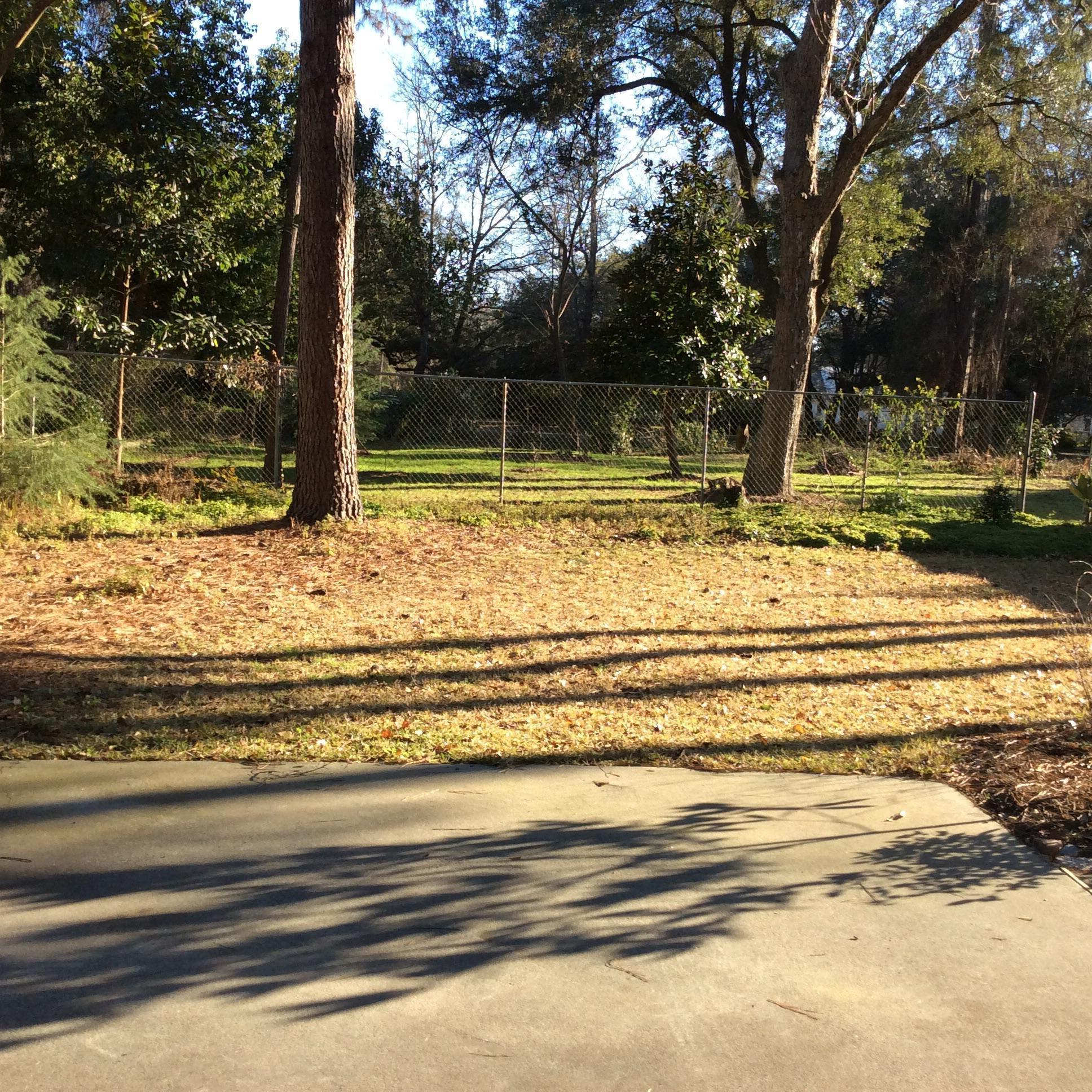 2085 Wappoo Hall Road Charleston, SC 29412 - Photo 23 of 36 More backyard privacy