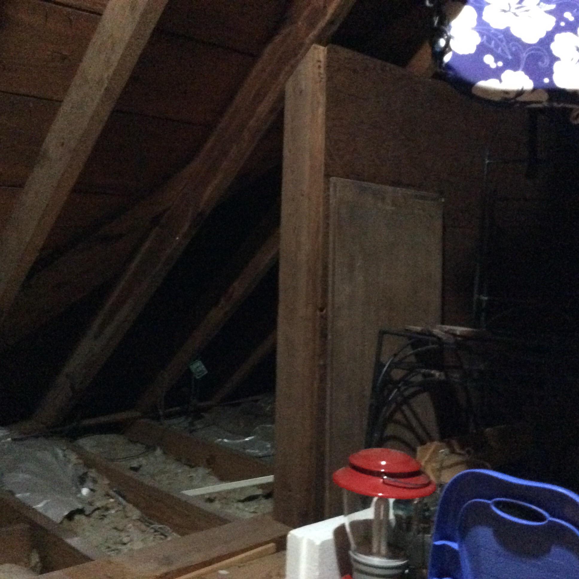 2085 Wappoo Hall Road Charleston, SC 29412 - Photo 29 of 36 Attic