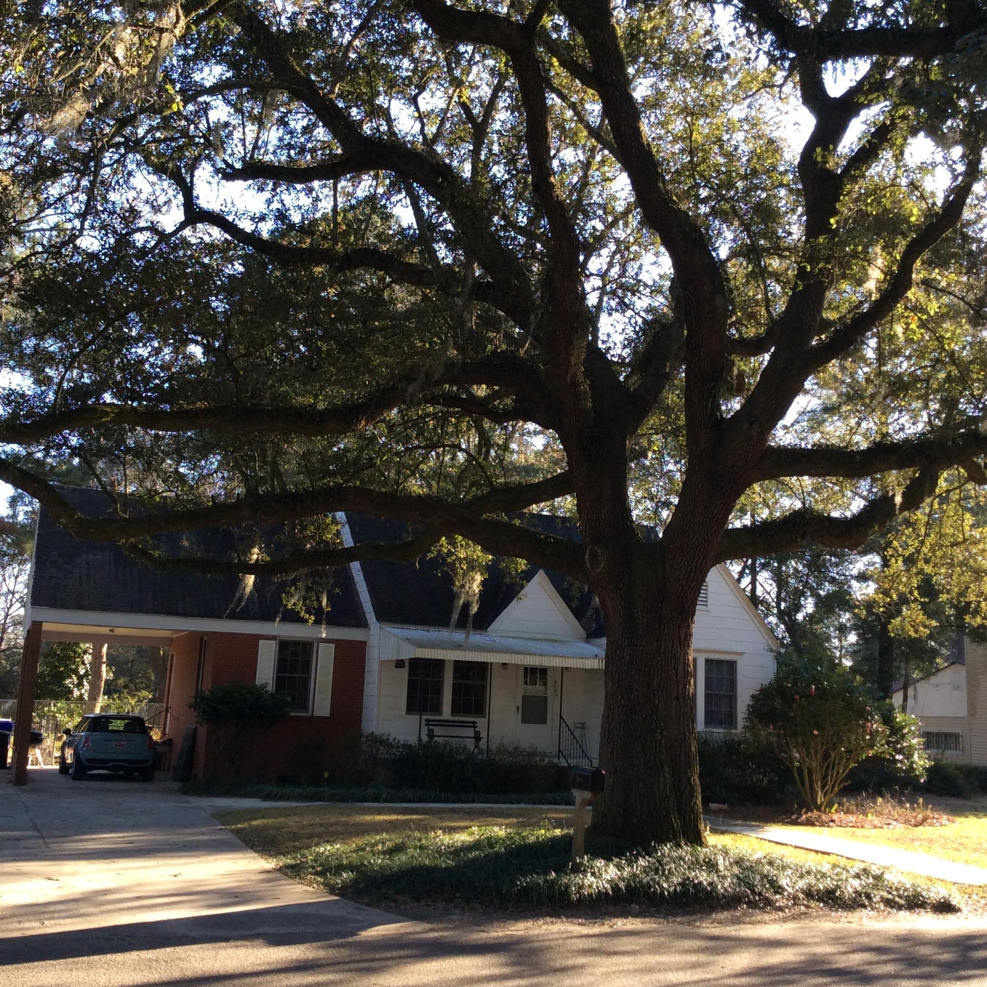 2085 Wappoo Hall Road Charleston, SC 29412 - Photo 35 of 36 image