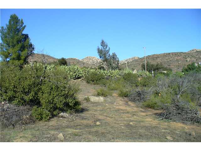 0 Highway 94 At Romo Road Dulzura, CA 91917 - Photo 17 of 20 Gallery Image 17
