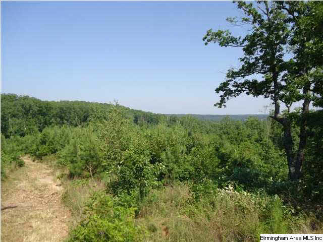 Mayo Road, Unit 96 Altoona, AL 35952 - Photo 2 of 23