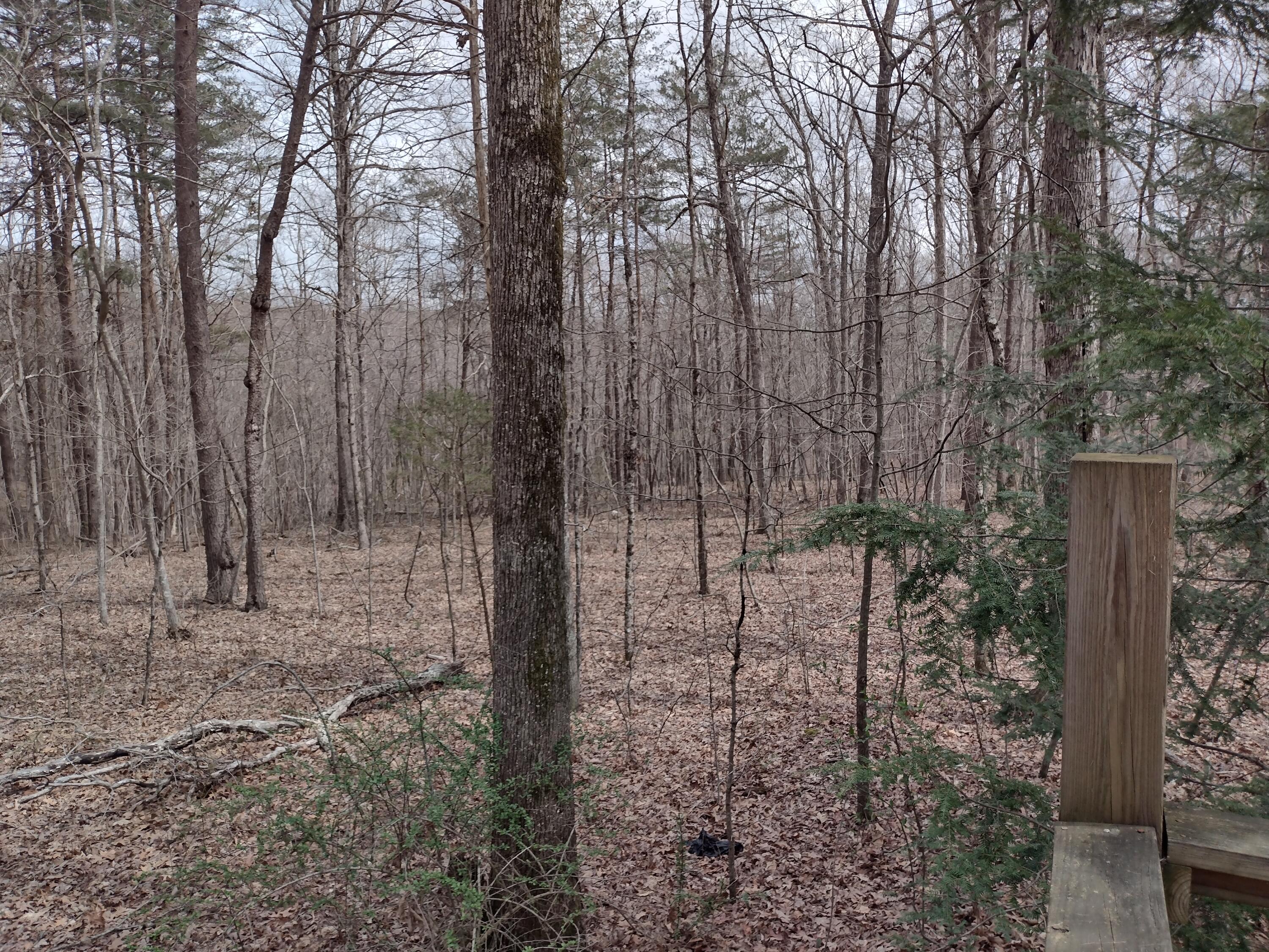 1036 Goforth Road Spencer, TN 38585 - Photo 12 of 30 IMG_20250402_141236338_HDR