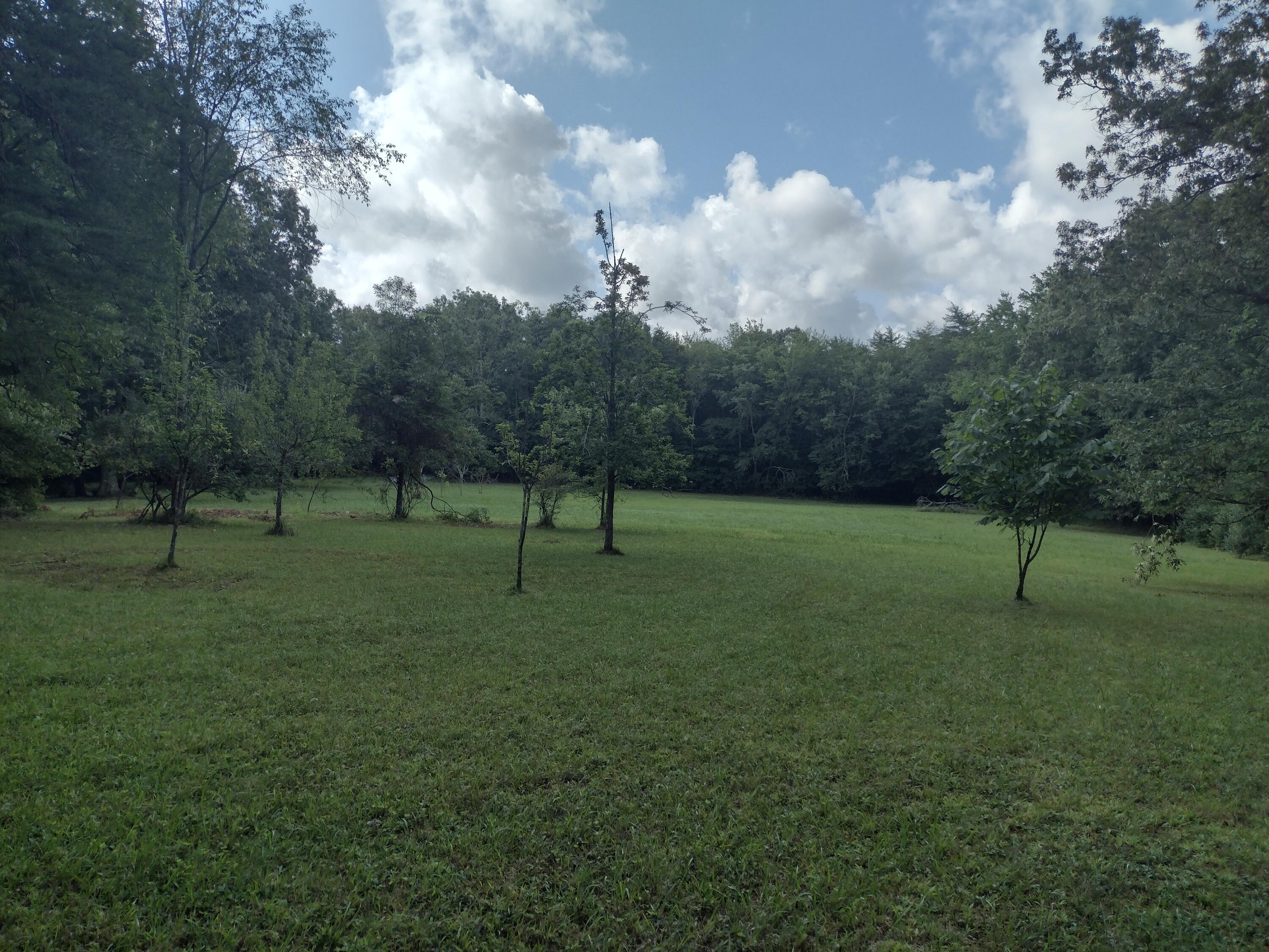 1036 Goforth Road Spencer, TN 38585 - Photo 4 of 30 IMG_20250715_090509599_HDR