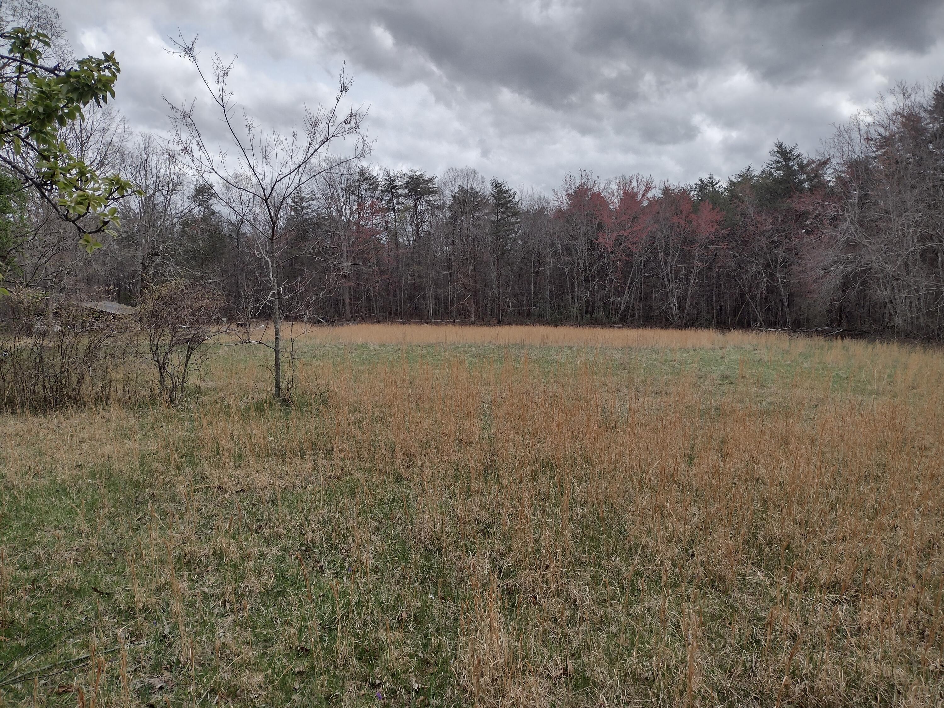 1036 Goforth Road Spencer, TN 38585 - Photo 9 of 30 IMG_20250402_142530236_HDR